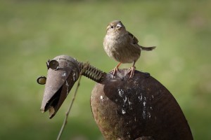 20260228 wh7 dxo9 resize