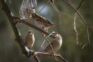 20260228 wh7 dxo9 resize