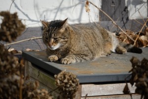 20260228 wh7 dxo9 resize