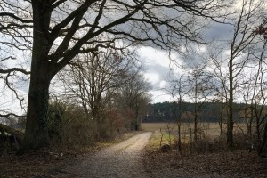 20260228 wh7 dxo9 resize